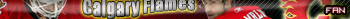 http://www.nfsg.net/images/flames_fan.png